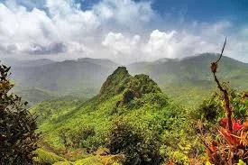 El Yunque Remains Puerto Rico Top Natural Attraction in 2026