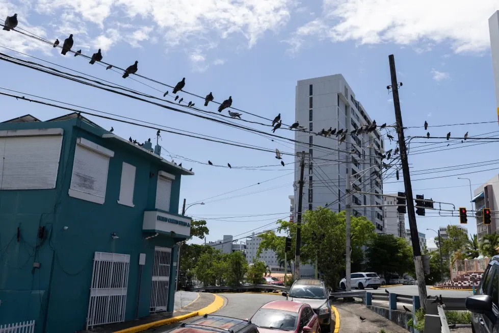 Puerto Rico Sues LUMA Energy to Cancel Power Grid Contract